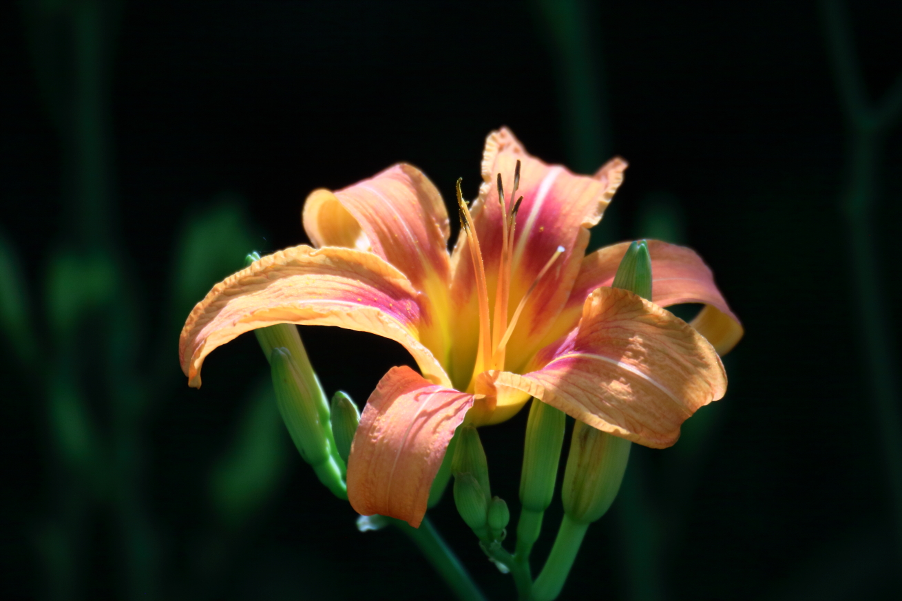 2015 06 23 HTP 000067969